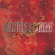 Load image into Gallery viewer, Toby Jepson&#39;s Little Angels Live Rarities vol.1 (SIGNED CD + A4 Poster store exclusive)
